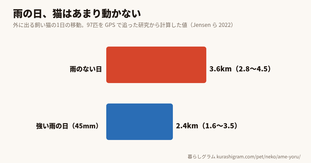 雨の日と夜の猫